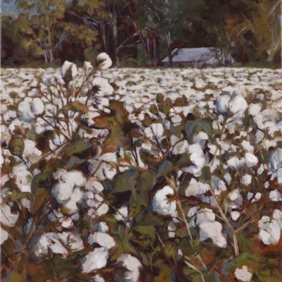 Edge of Cotton